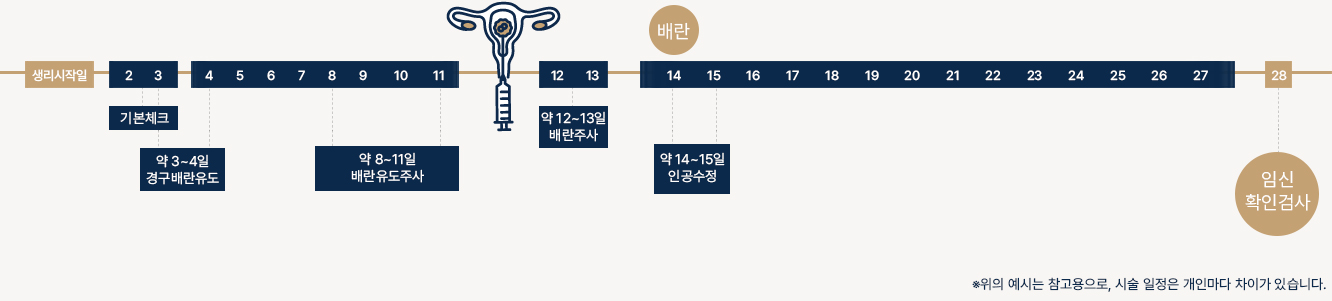 인공수정 기간