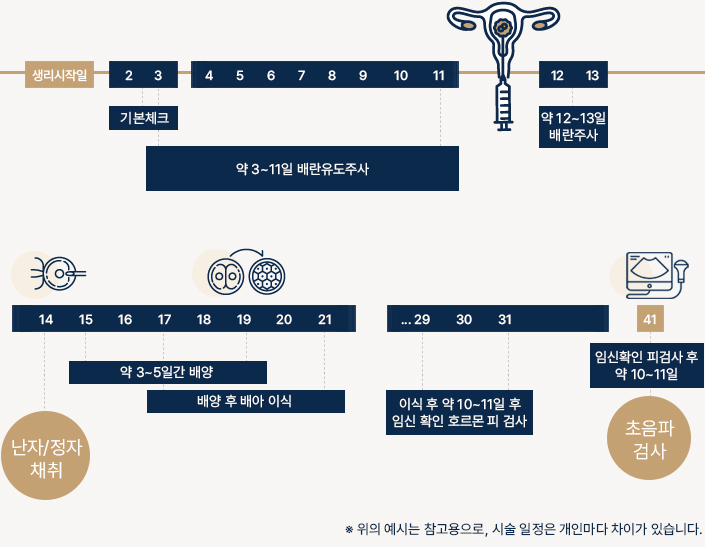 인공수정 기간