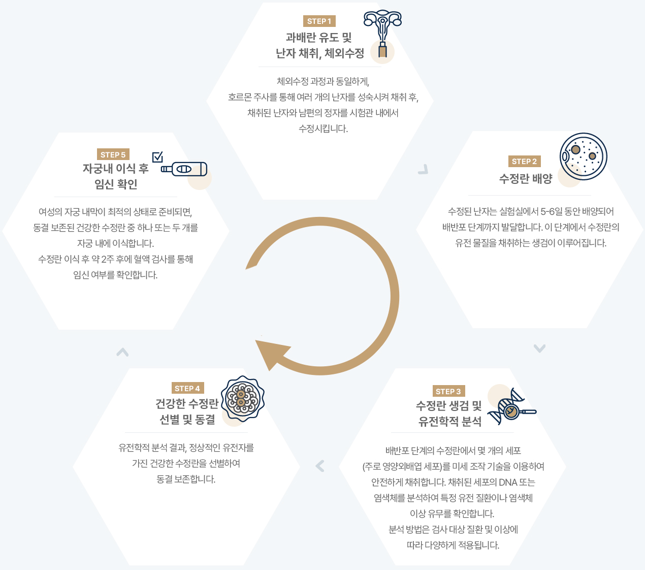 인공수정 기간
