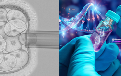 착상 전 유전 검사 (Preimplantation Genetic Testing, PGT)