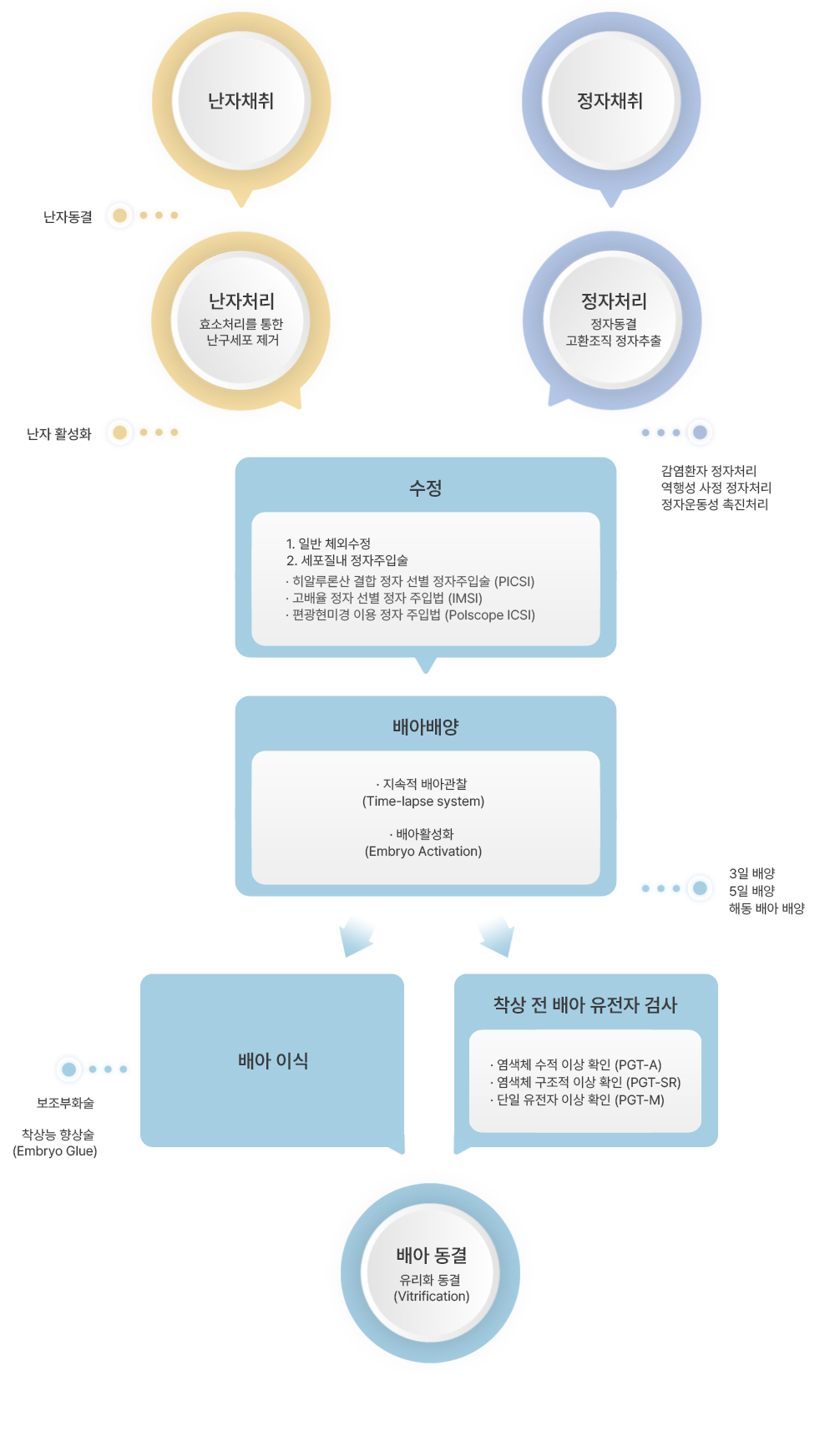체외수정 시술과정